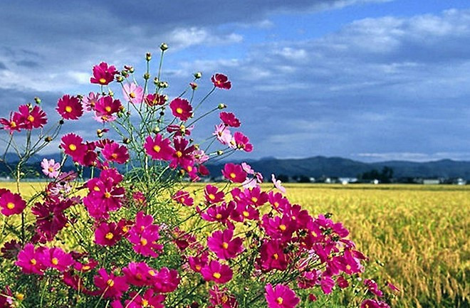 게시글 대표 이미지