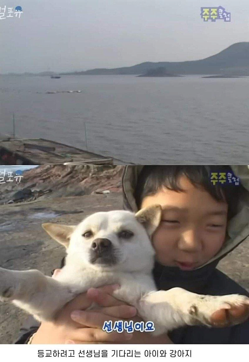 대표이미지