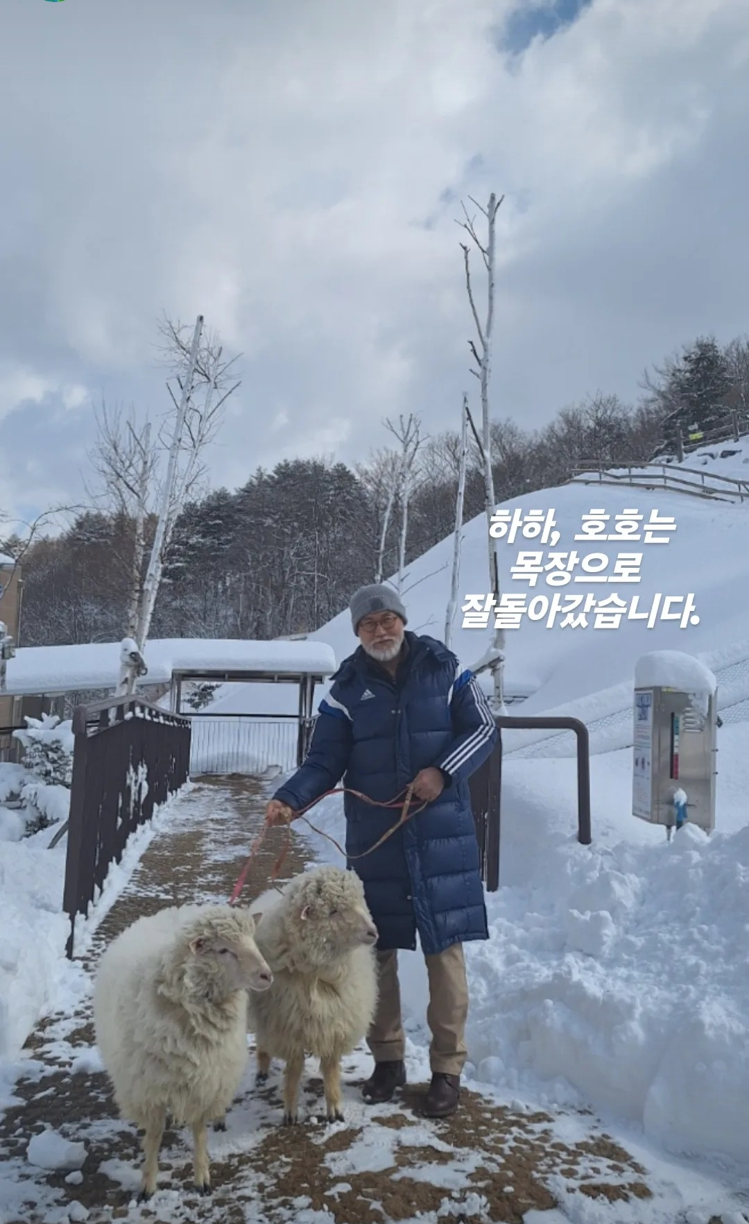 대표이미지