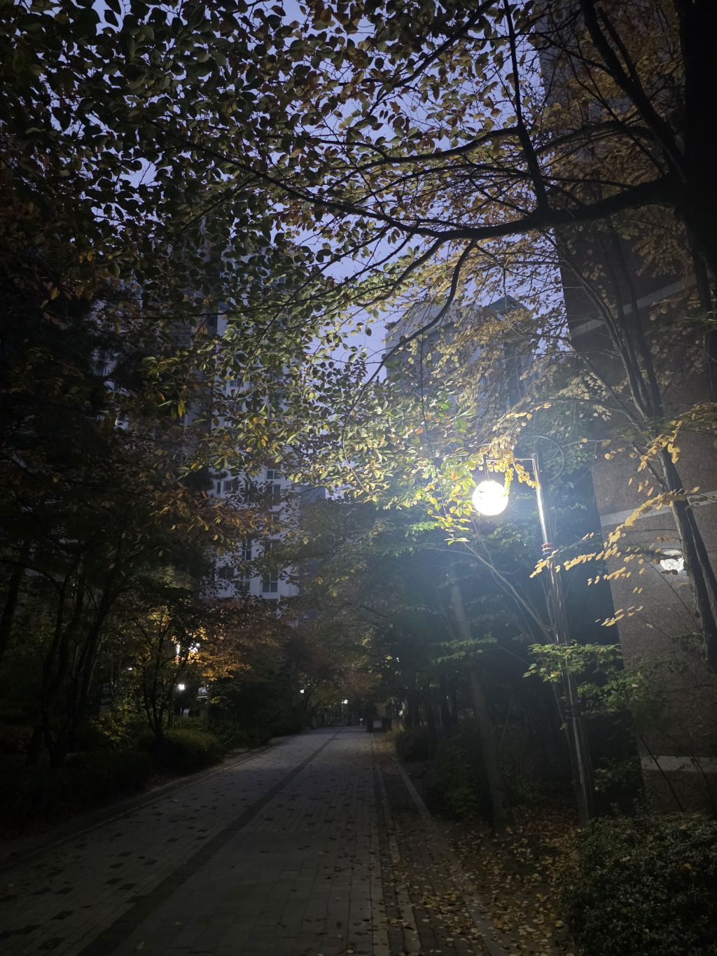 게시글 대표 이미지