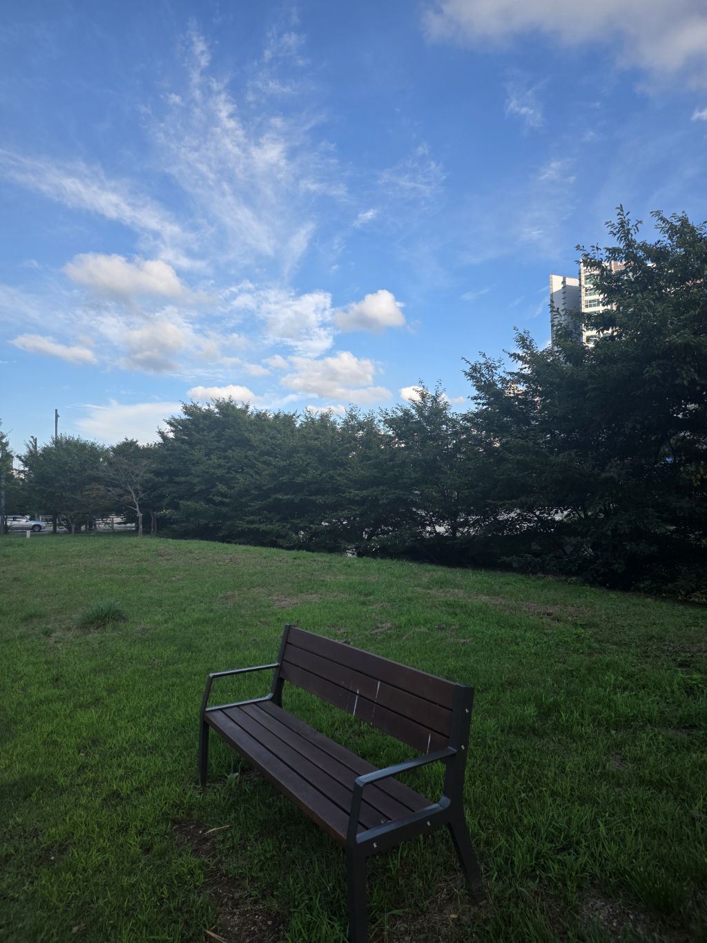 게시글 대표 이미지