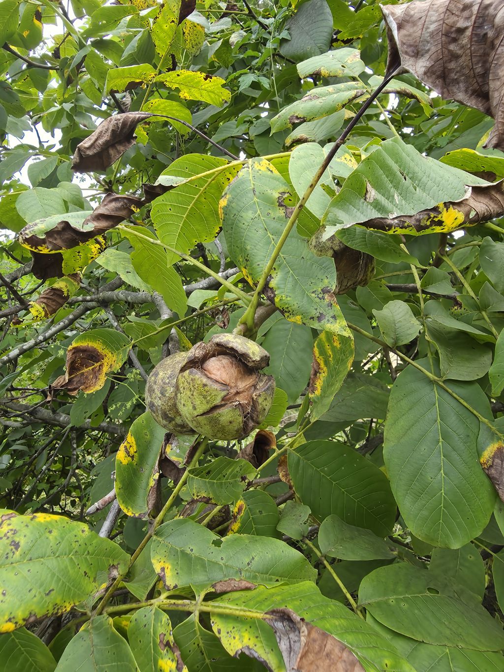 게시글 대표 이미지