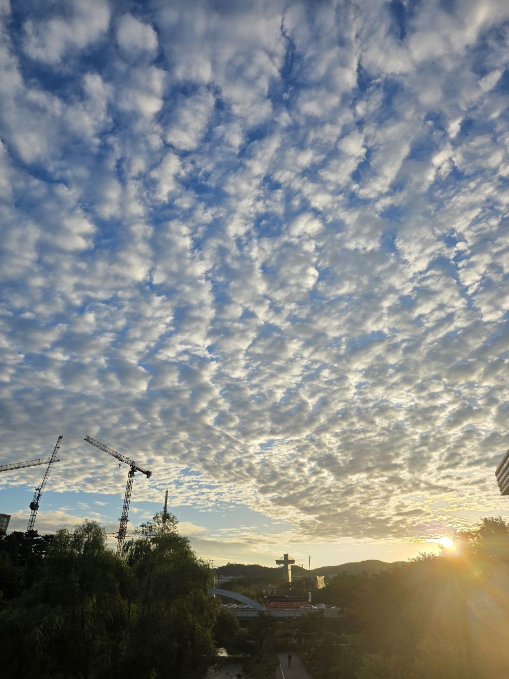 게시글 대표 이미지