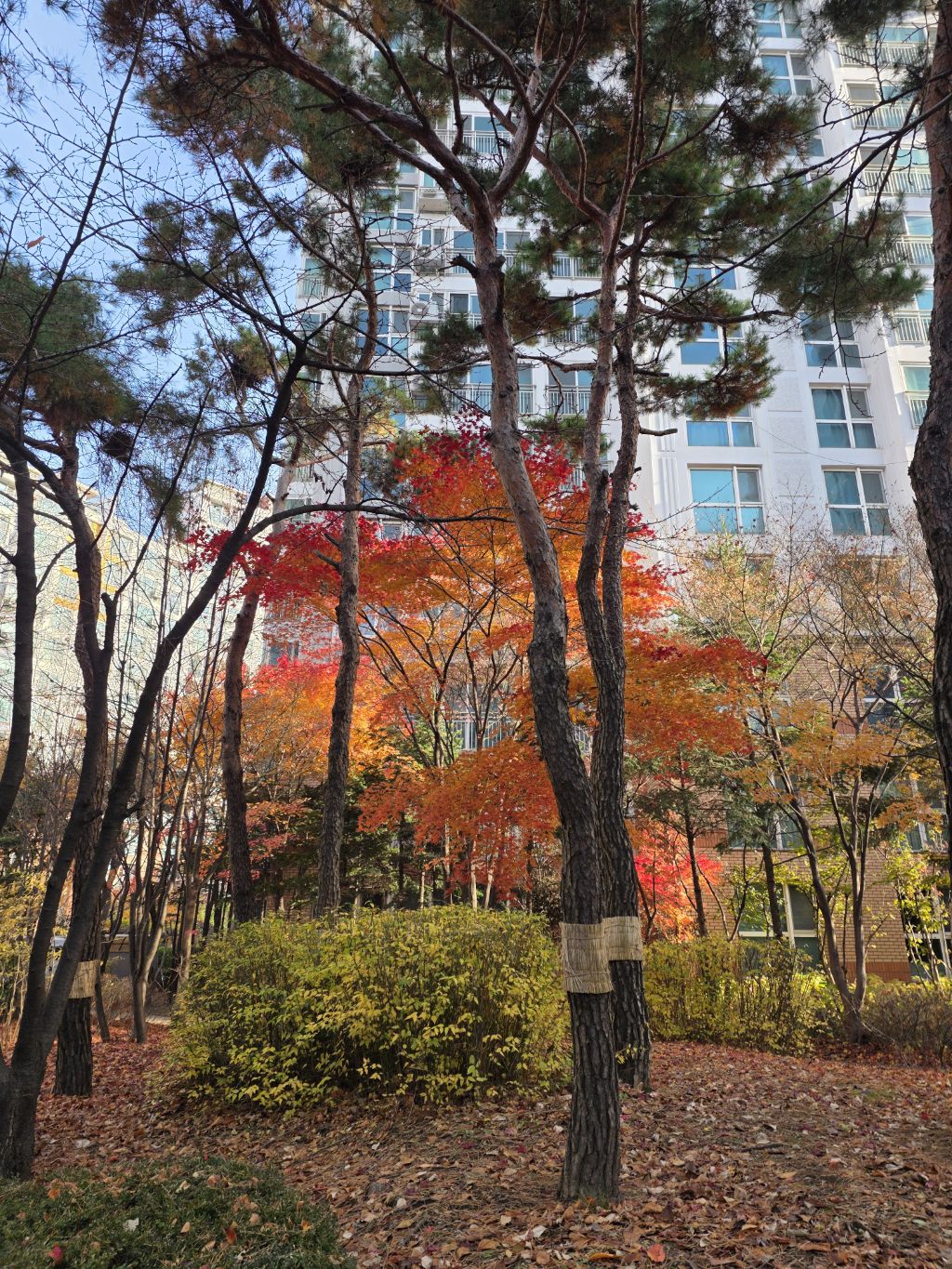 게시글 대표 이미지