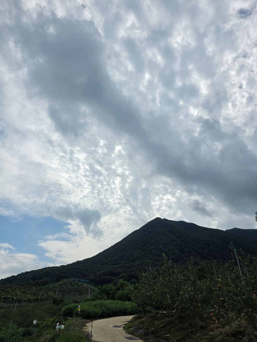 게시글 대표 이미지