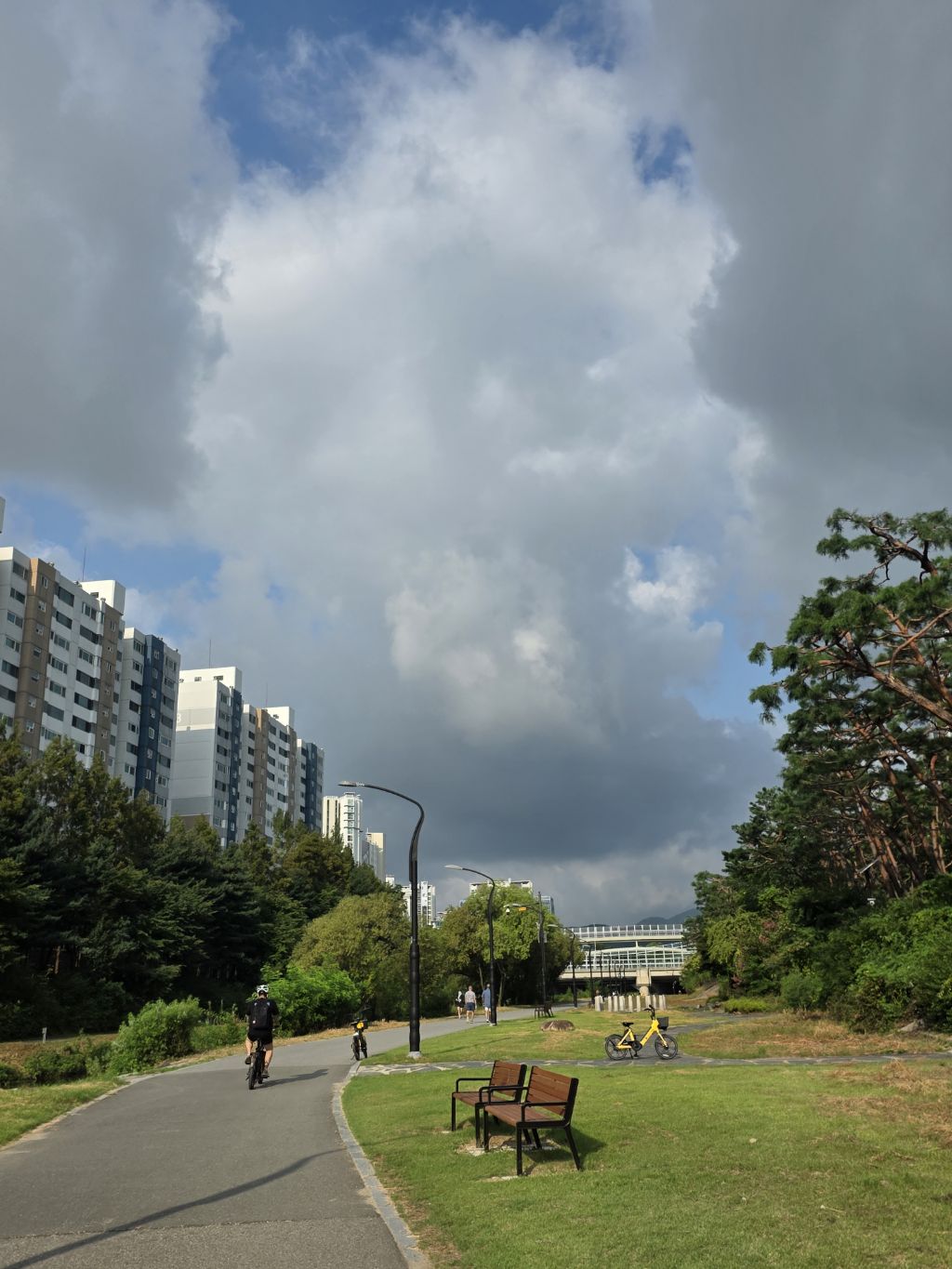 게시글 대표 이미지