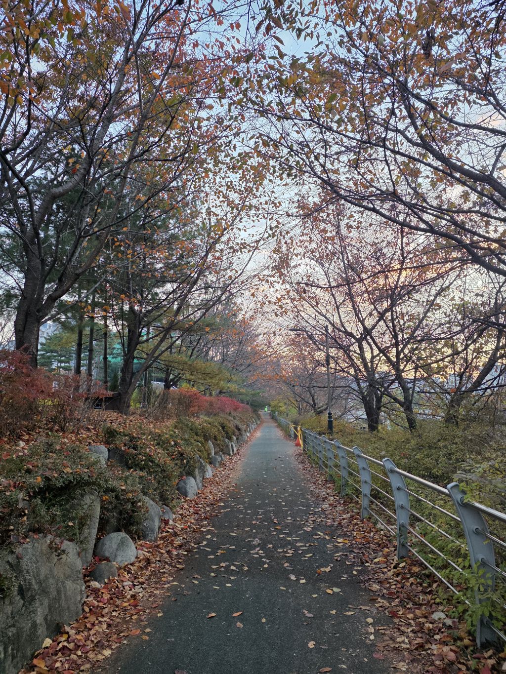 게시글 대표 이미지