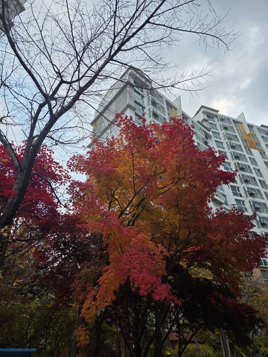 게시글 대표 이미지