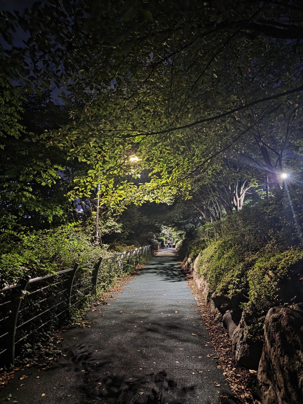 게시글 대표 이미지