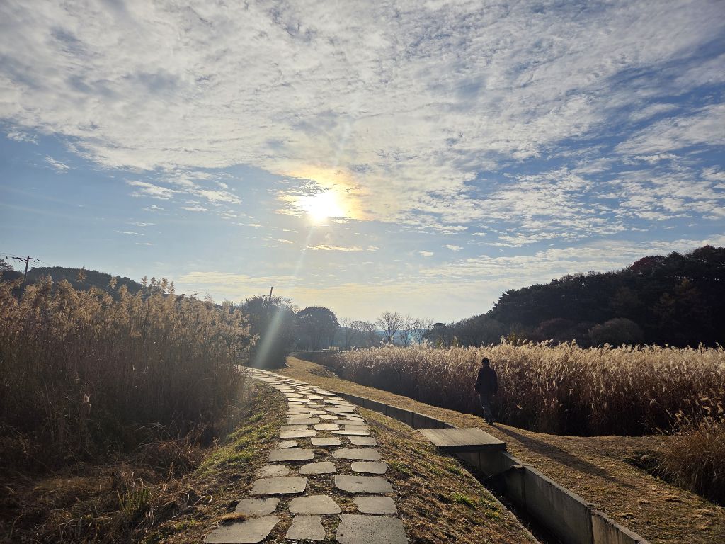 게시글 대표 이미지