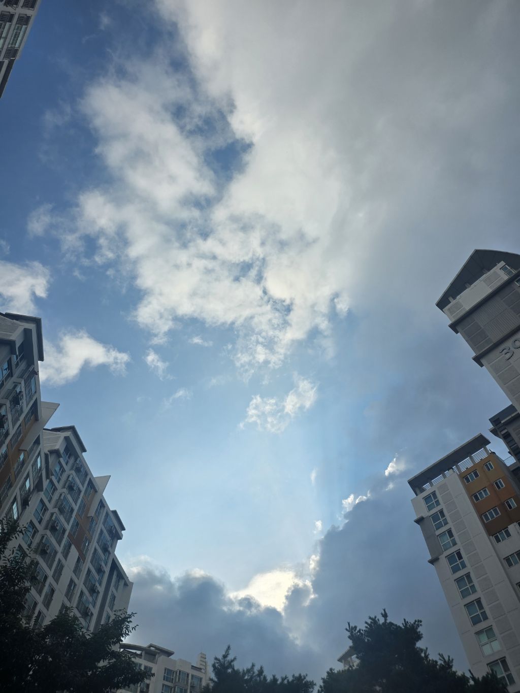 게시글 대표 이미지