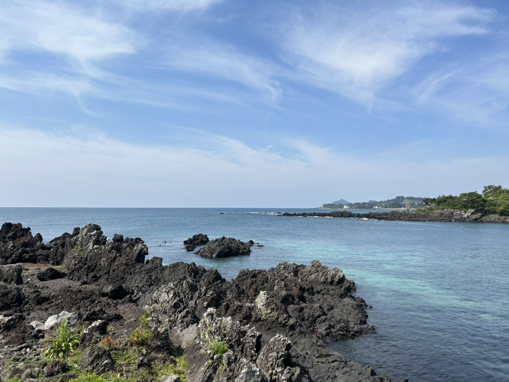 게시글 대표 이미지