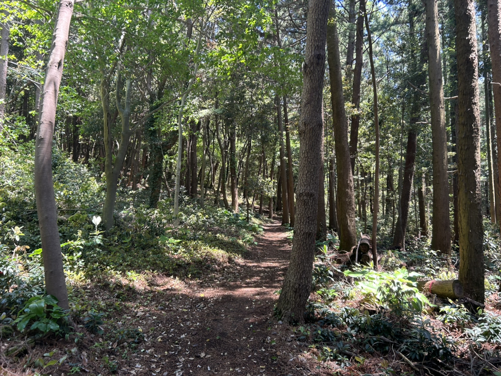 게시글 대표 이미지