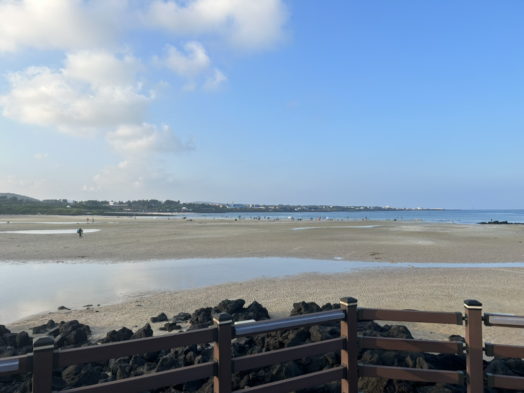 게시글 대표 이미지