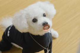대표이미지