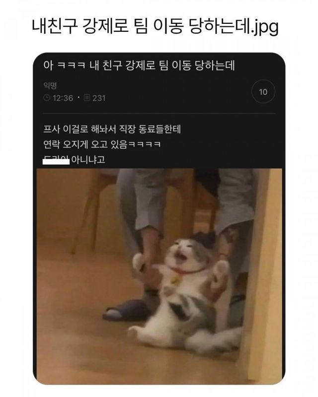 게시글 대표 이미지