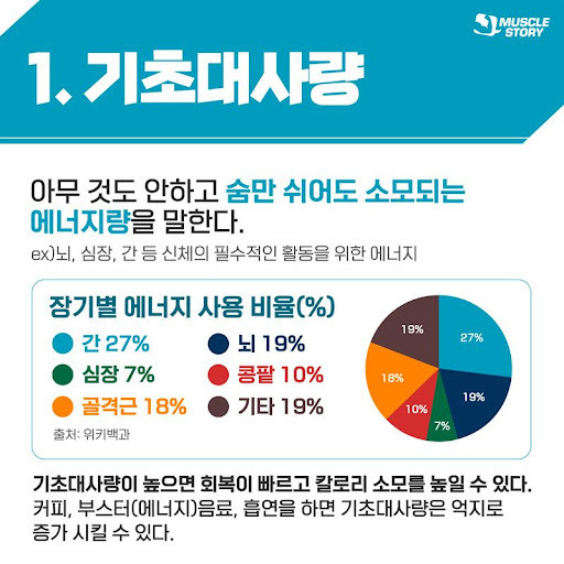 게시글 대표 이미지