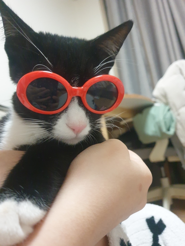 대표이미지