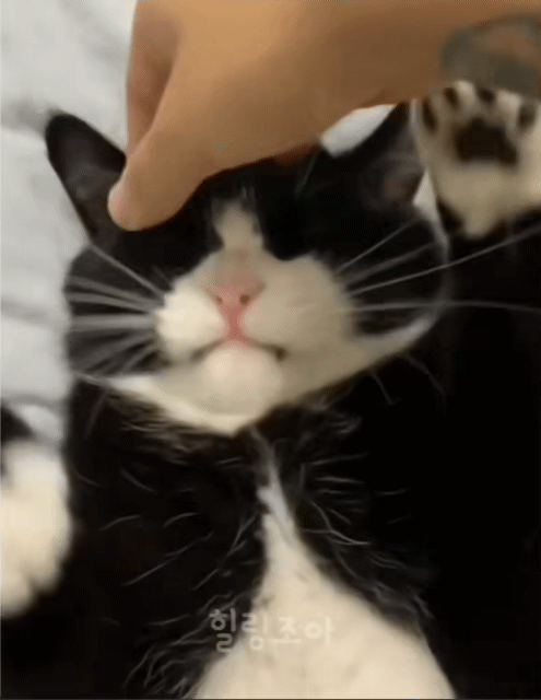 게시글 대표 이미지