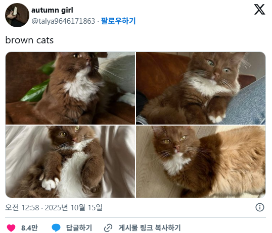게시글 대표 이미지