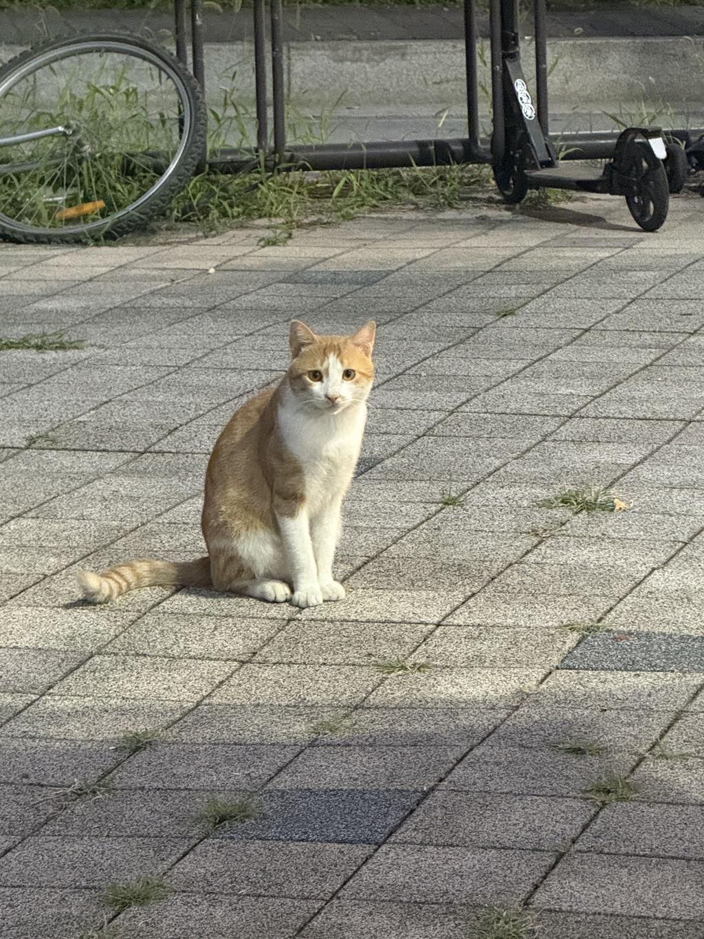 게시글 대표 이미지