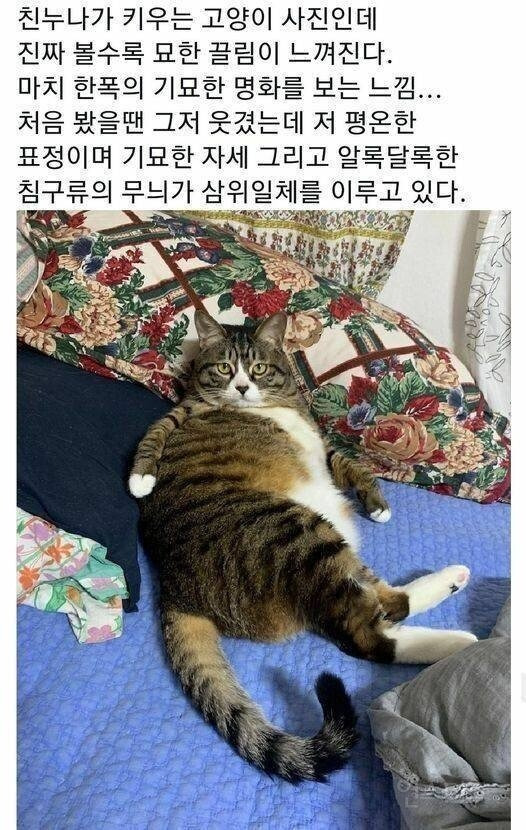 게시글 대표 이미지