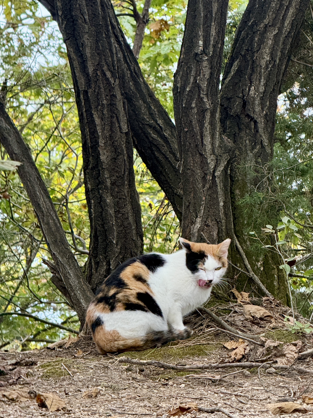 게시글 대표 이미지