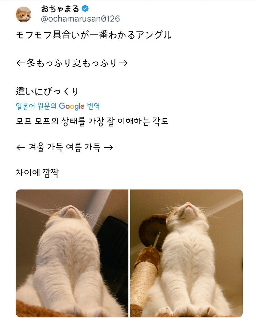 게시글 대표 이미지