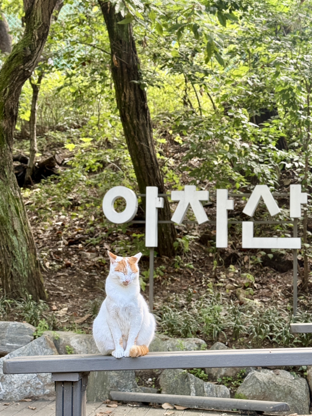 게시글 대표 이미지