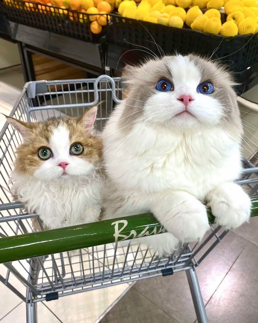 게시글 대표 이미지