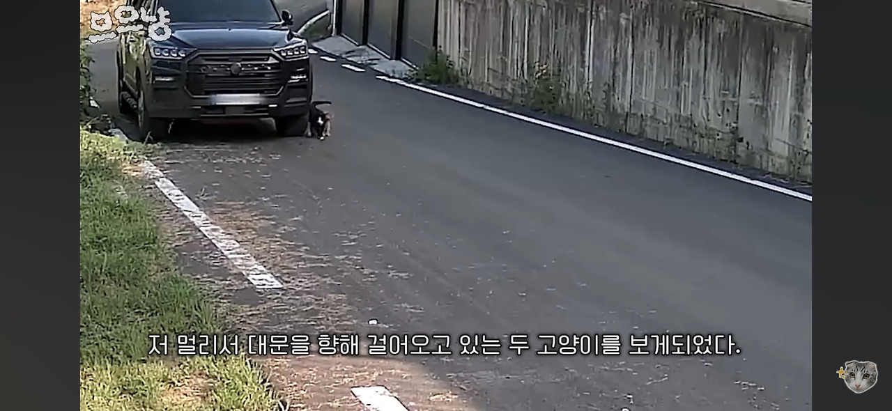 게시글 대표 이미지