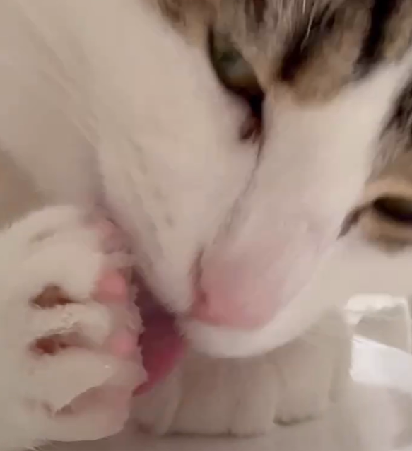 게시글 대표 이미지