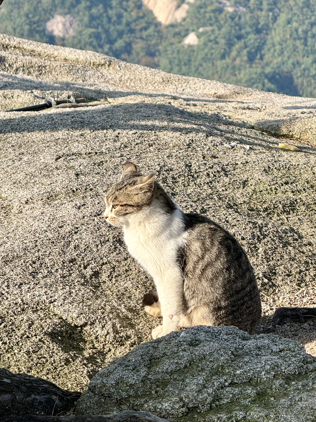 게시글 대표 이미지