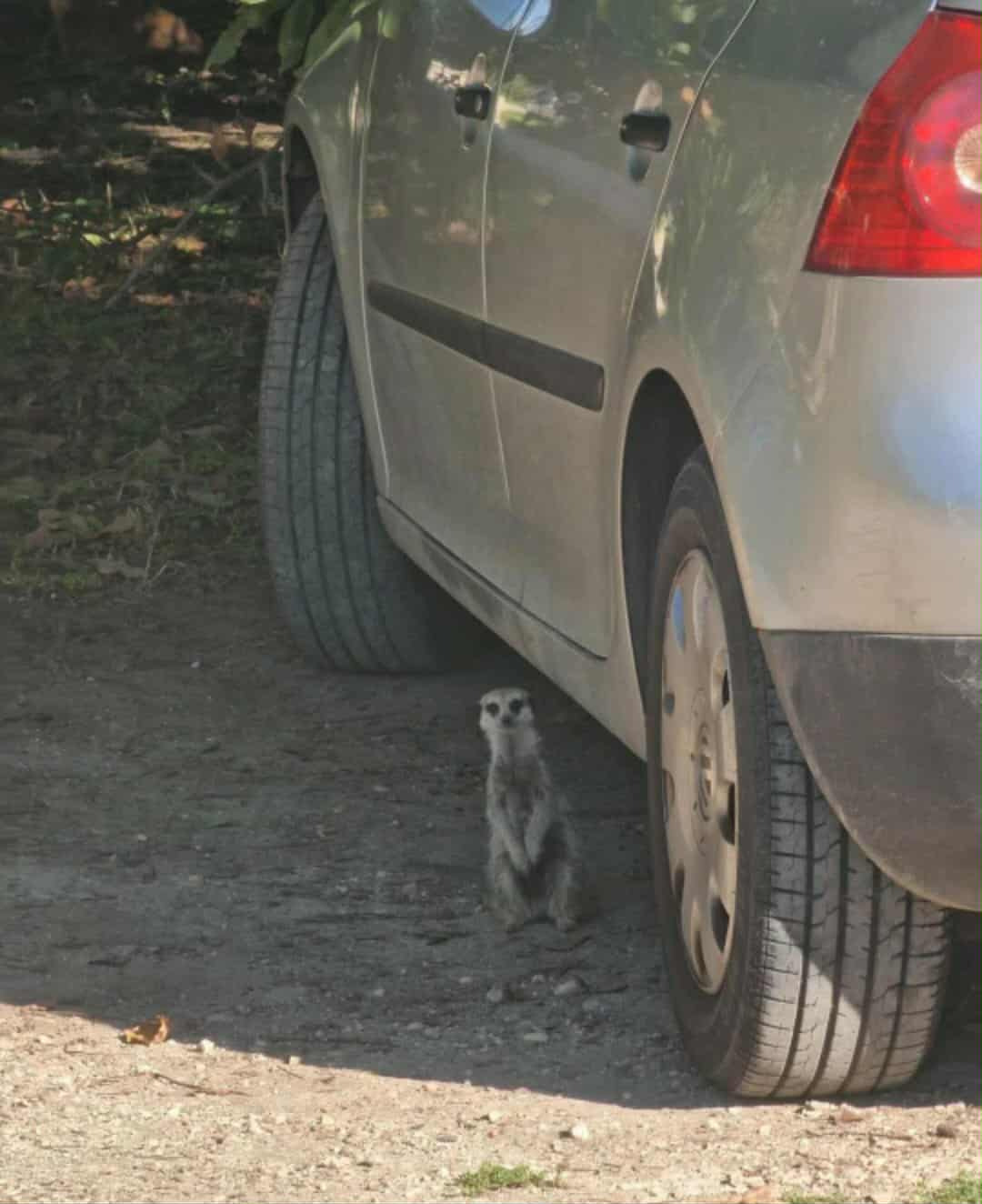 게시글 대표 이미지