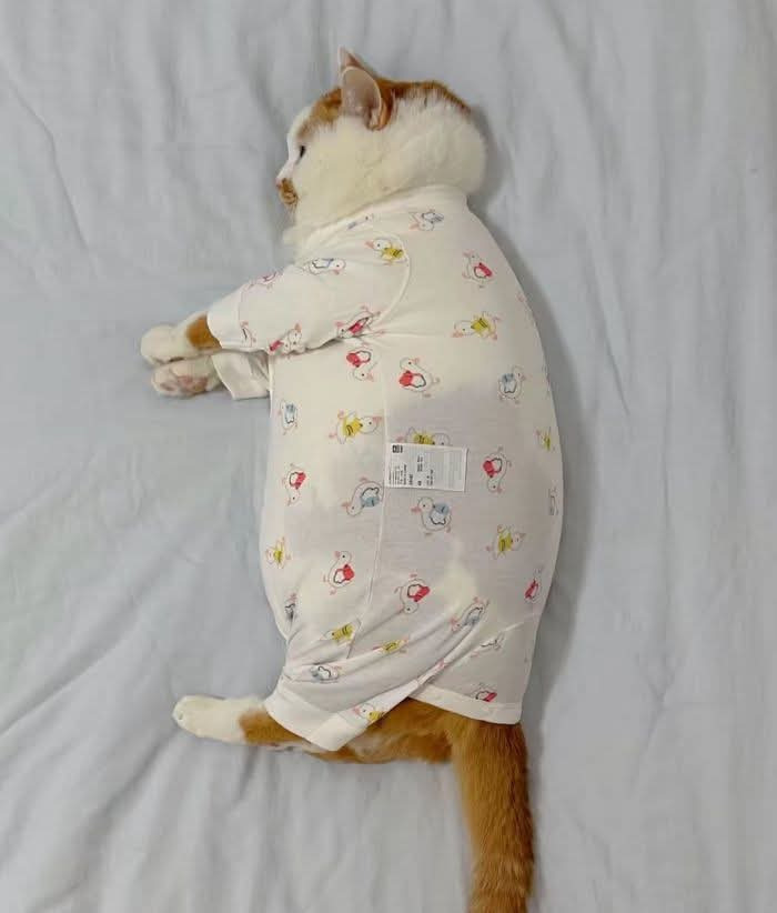 게시글 대표 이미지