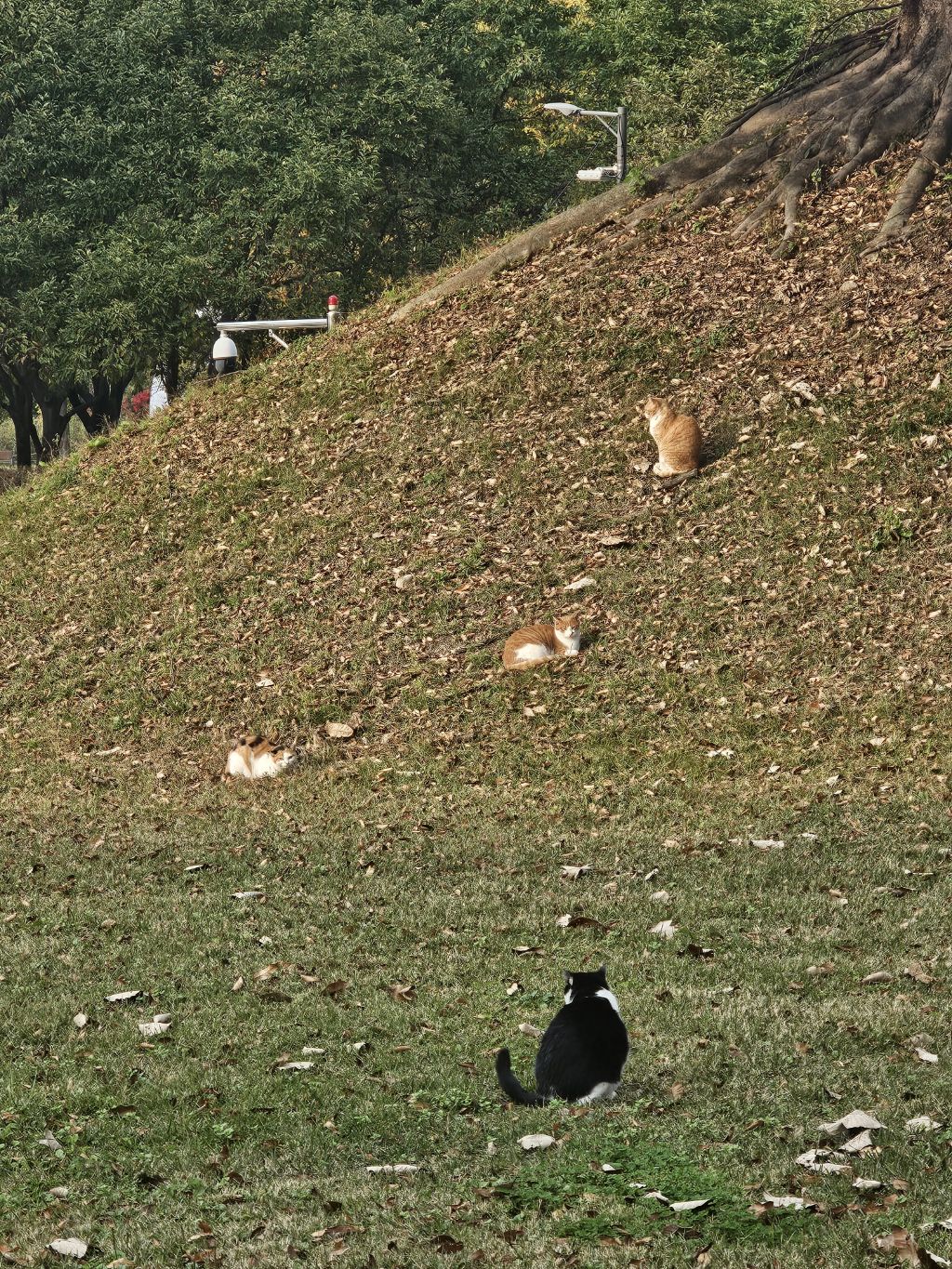 게시글 대표 이미지