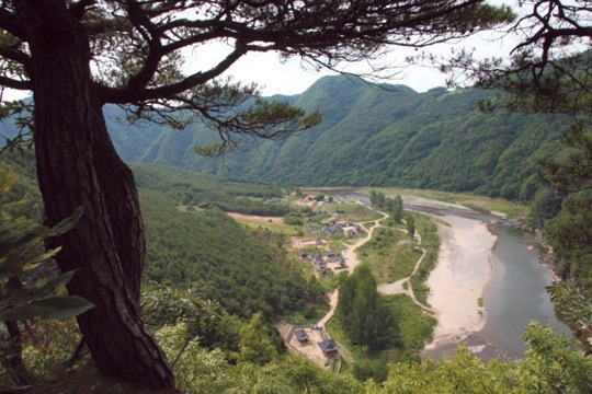 게시글 대표 이미지