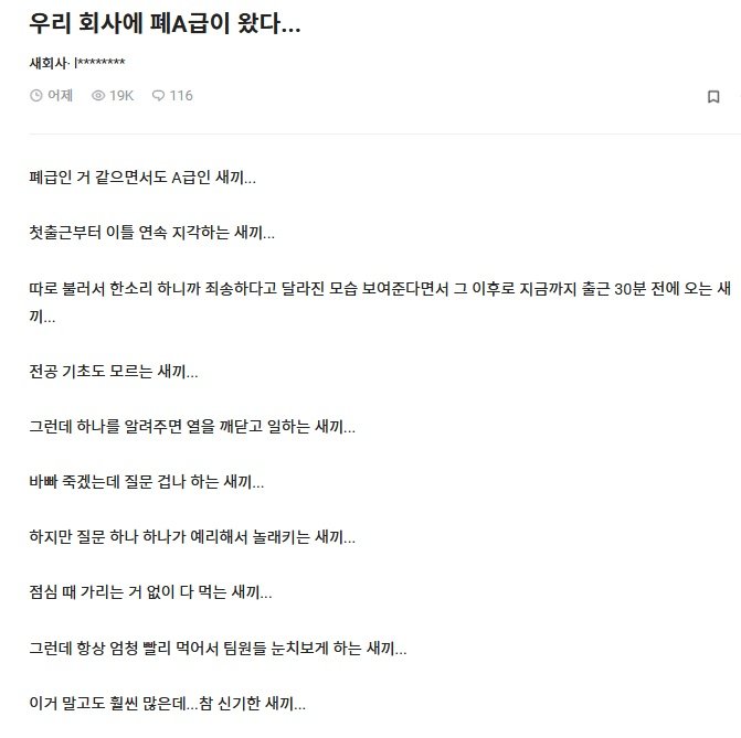 게시글 대표 이미지