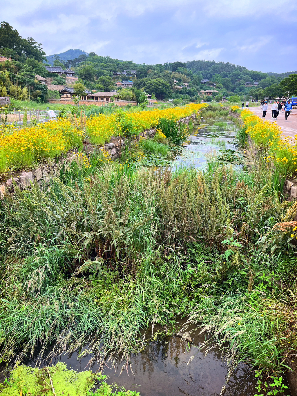 게시글 대표 이미지