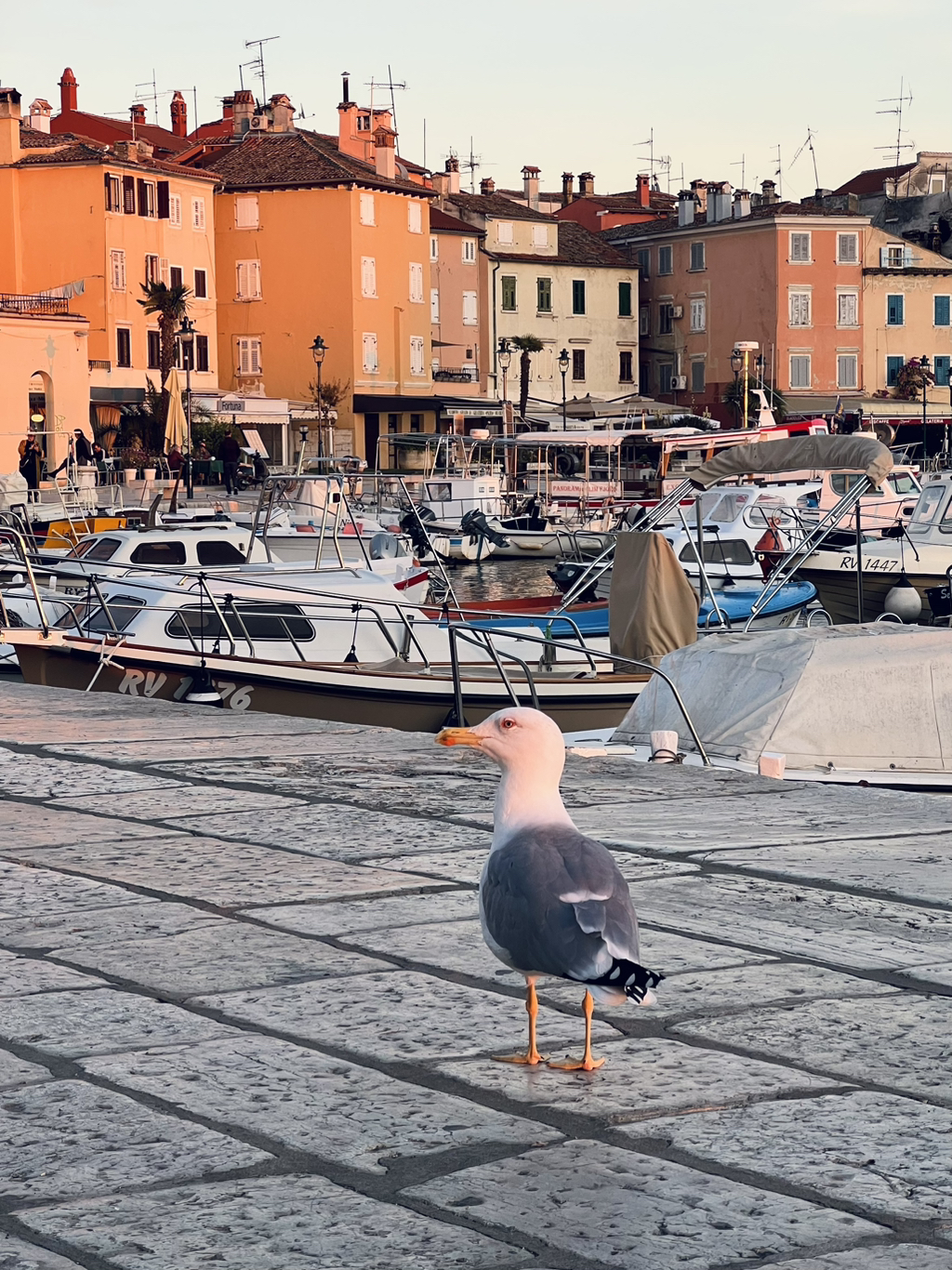 게시글 대표 이미지