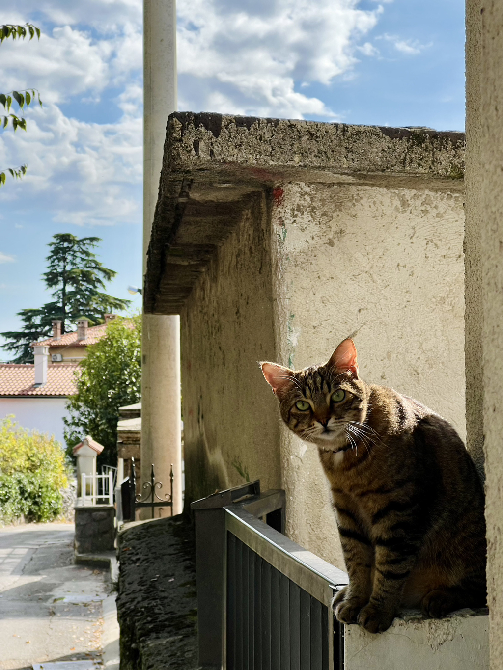 게시글 대표 이미지