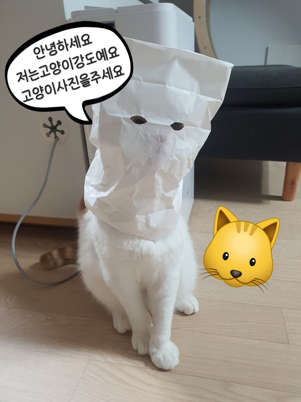 대표이미지