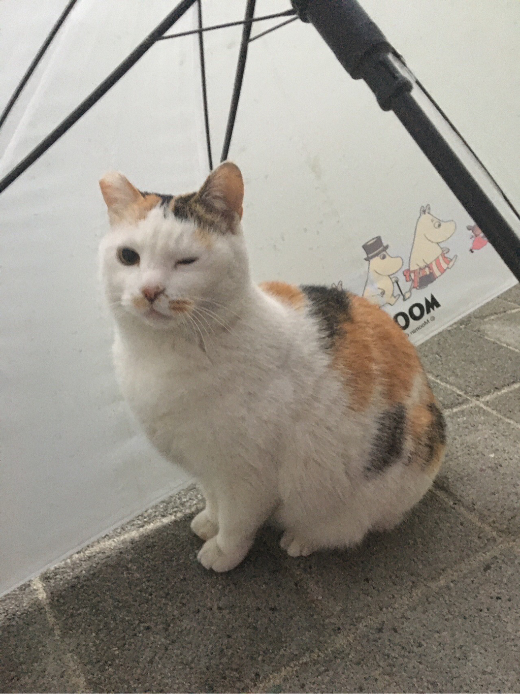 대표이미지