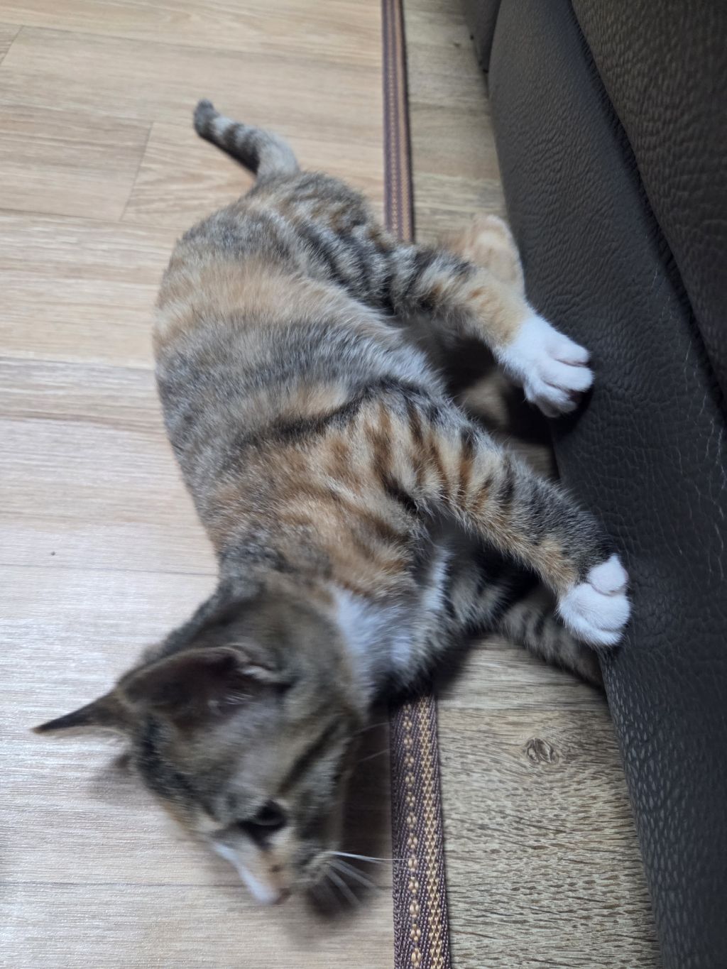 게시글 대표 이미지