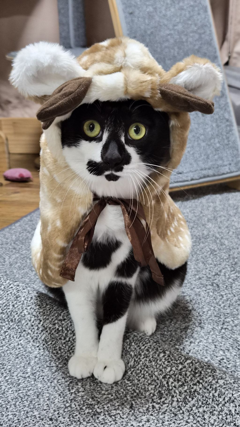 게시글 대표 이미지