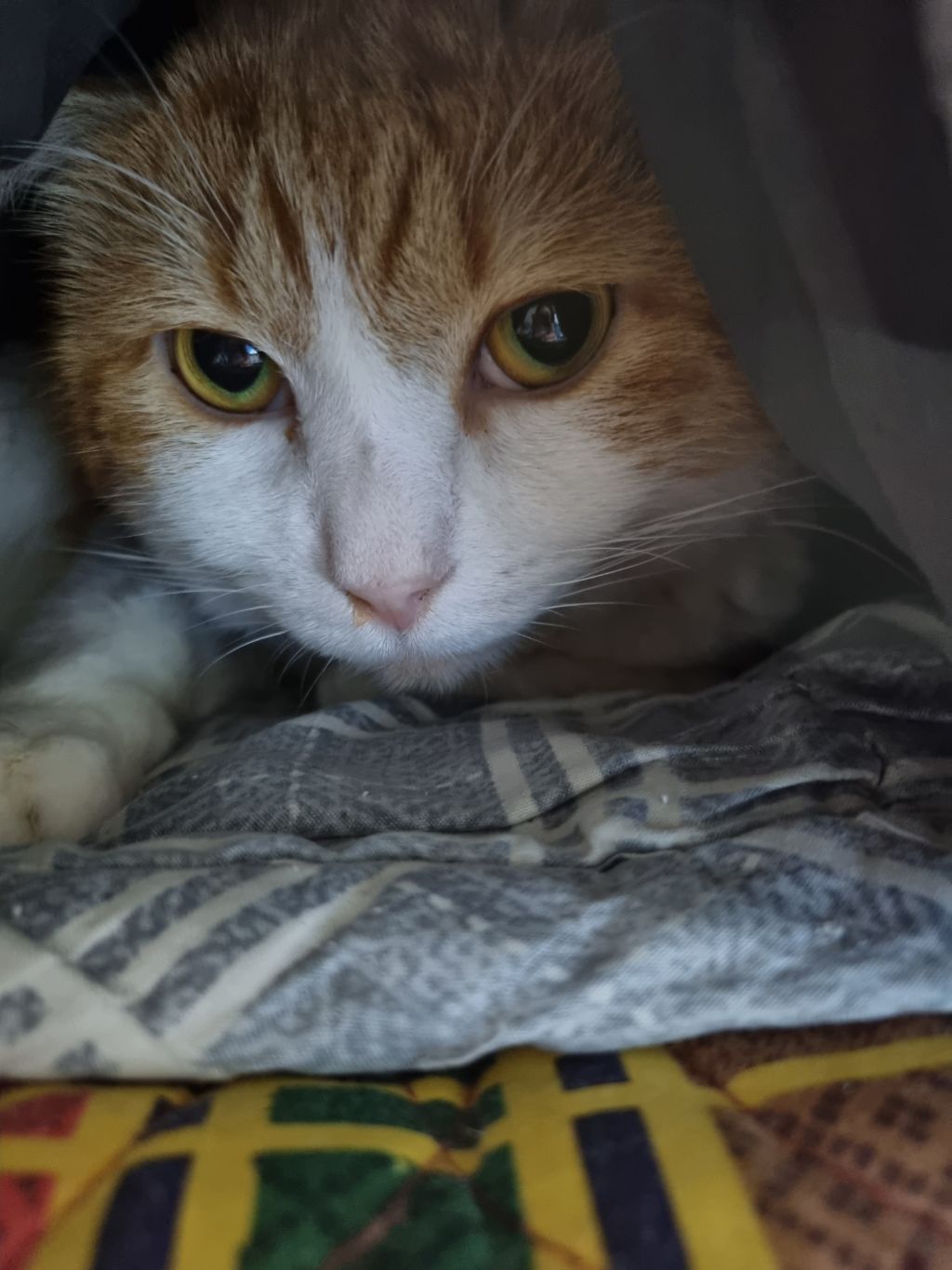 게시글 대표 이미지