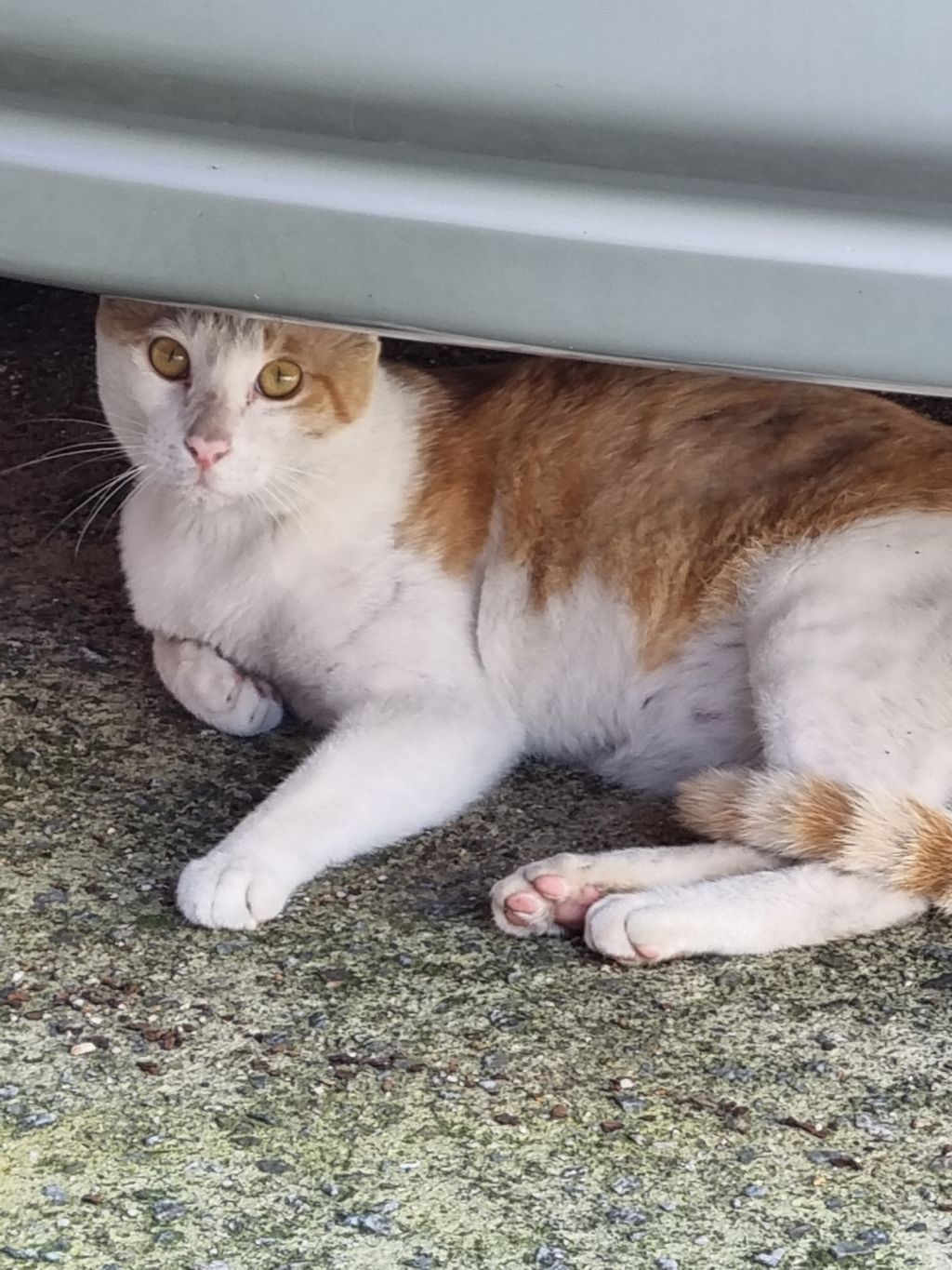 게시글 대표 이미지