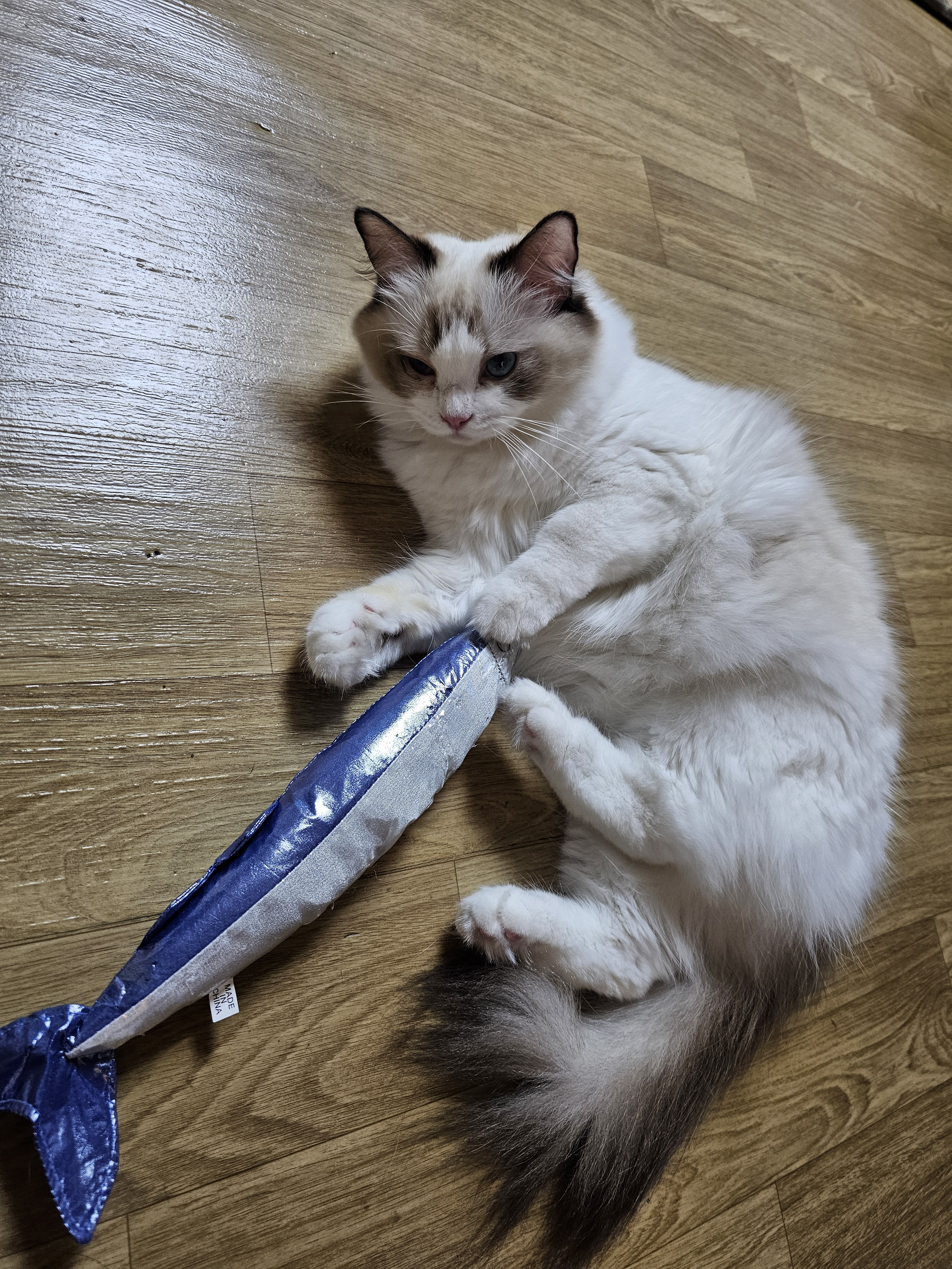 대표이미지
