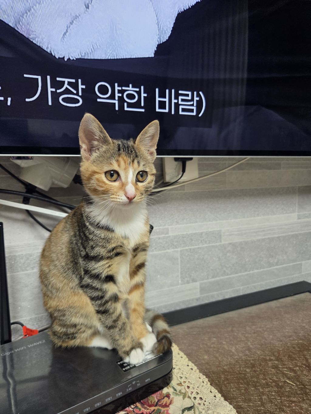 게시글 대표 이미지