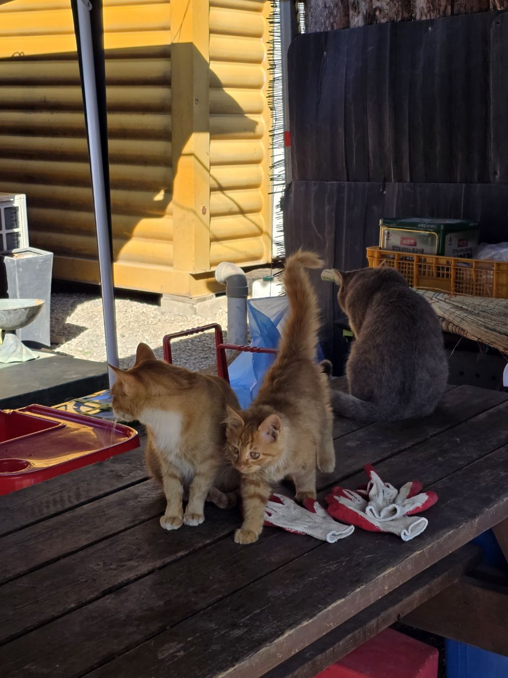 게시글 대표 이미지